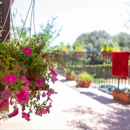 Giustega Катания